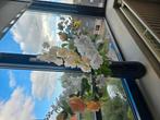 Leuke vaas met kunstbloemen, Ophalen, Zo goed als nieuw