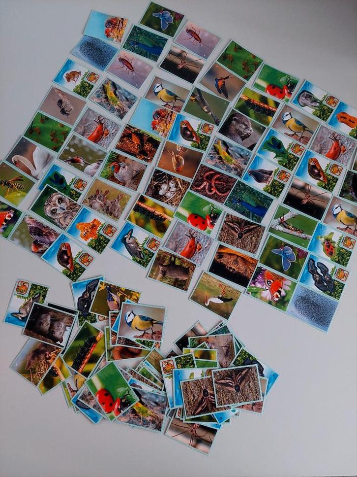 Boni Dierenstickers Verzamelactie, Verzamelen, Supermarktacties, Overige supermarkten, Ophalen of Verzenden
