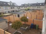 21-planks Douglas schutting - antraciet glad beton, Ophalen of Verzenden, Nieuw, Hout, 1 tot 2 meter