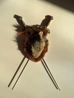 Wapenschild, Ophalen of Verzenden, Huis en Inrichting