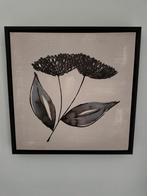 Wit canvas print, doek van een zwarte plant in zwart frame, Minder dan 50 cm, Tekening, Ophalen of Verzenden, Zo goed als nieuw