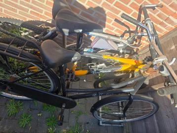3 fietsen opknappers! beschikbaar voor biedingen