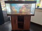 Juwel Rio 180 met extern filter, Dieren en Toebehoren, Ophalen, Zo goed als nieuw, Leeg aquarium