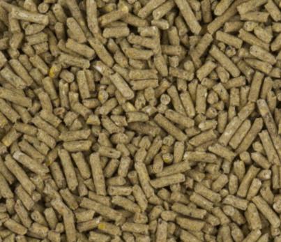 opfokkorrel voor kuikens 5kg, Dieren en Toebehoren, Pluimvee, Meerdere dieren, Kip