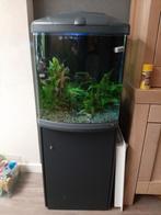 Aquarium 130 liter cube, Ophalen, Gebruikt, Leeg aquarium