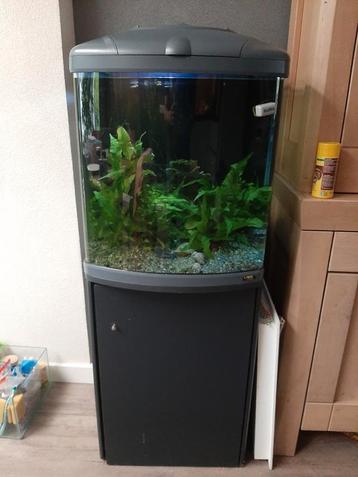 Aquarium 130 liter cube beschikbaar voor biedingen