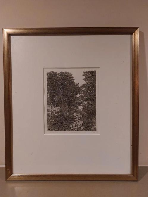 Ets Carvalho door Philip Wiesman, Antiek en Kunst, Kunst | Etsen en Gravures, Ophalen of Verzenden