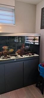 Aquatlantis volga 450 liter, Dieren en Toebehoren, Vissen | Aquaria en Toebehoren, Ophalen, Zo goed als nieuw, Leeg aquarium