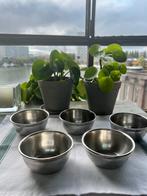 Vintage Sola Hotelzilver Dessertbakjes - 5 Stuks, Overige materialen, Gebruikt, Schaal, Rond
