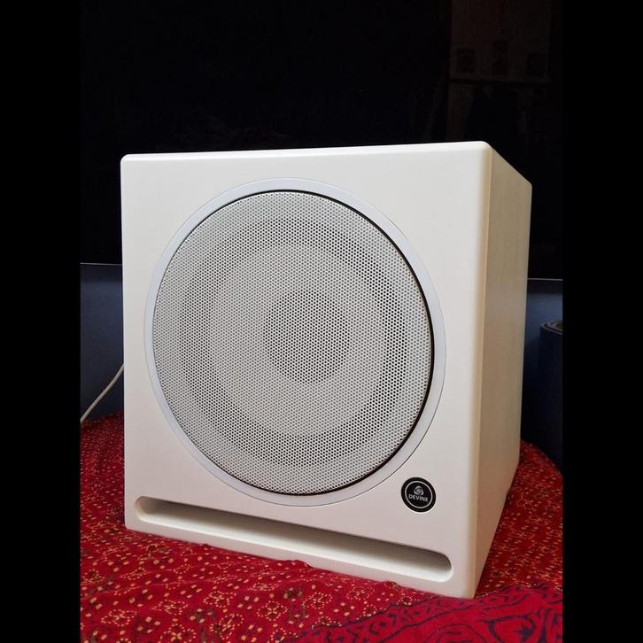 Devine RX-10SA Actieve Subwoofer, Muziek en Instrumenten, Versterkers | Keyboard, Monitor en PA, Zo goed als nieuw, P.A., Minder dan 500 watt