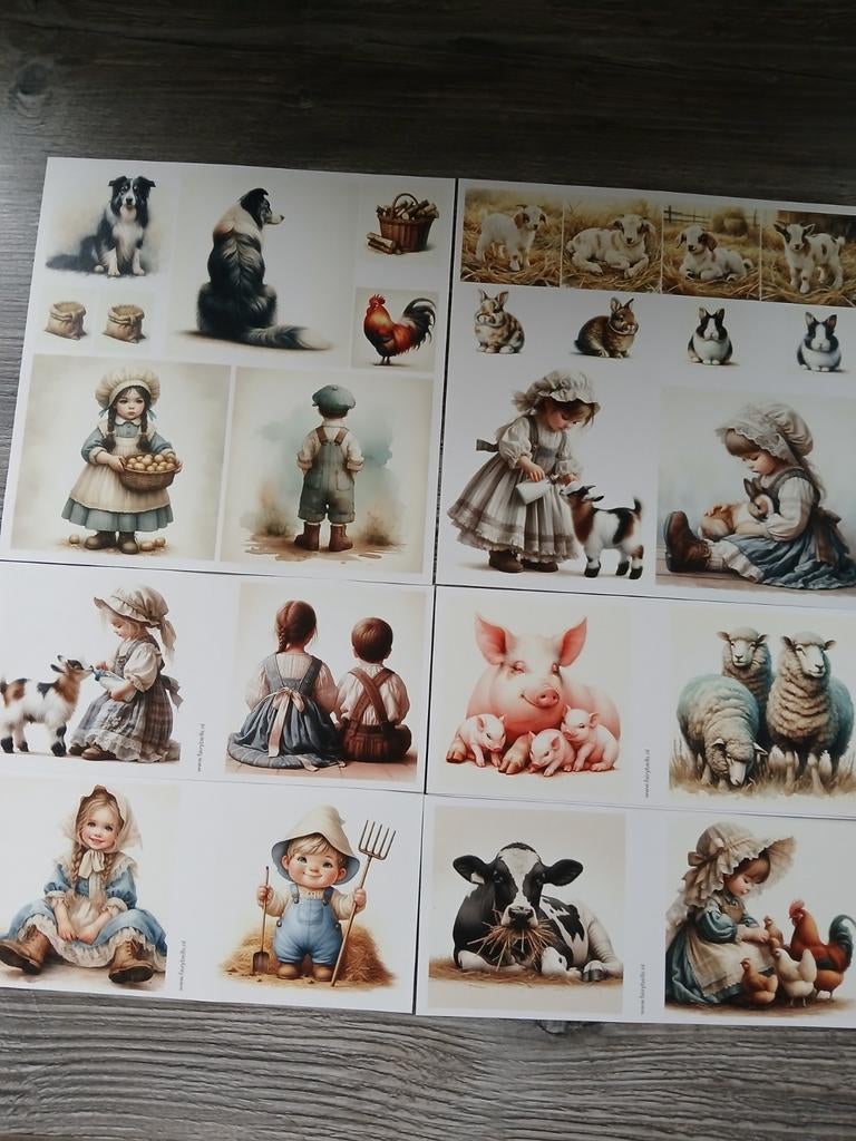 De nieuwe boederij serie fairybells, Ophalen of Verzenden, Nieuw, Frame of Mal