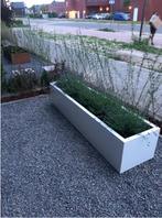 plantenbak wit polyester inclusief lavendel planten, Tuin en Terras, Bloembakken en Plantenbakken, Ophalen, 100 cm of meer, Zo goed als nieuw