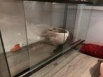 Hamster kooi, Dieren en Toebehoren, Ophalen, Zo goed als nieuw, Terrarium of Paludarium