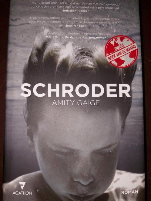 Schroder - Amity Gaige, Boeken, Romans, Zo goed als nieuw, Nederland, Ophalen of Verzenden