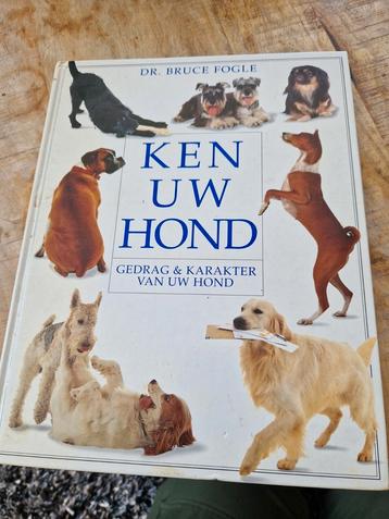 B. Fogle - Ken uw hond beschikbaar voor biedingen