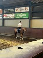 Bijrijder/verzorger aangeboden!!, Tickets en Kaartjes, Eén persoon