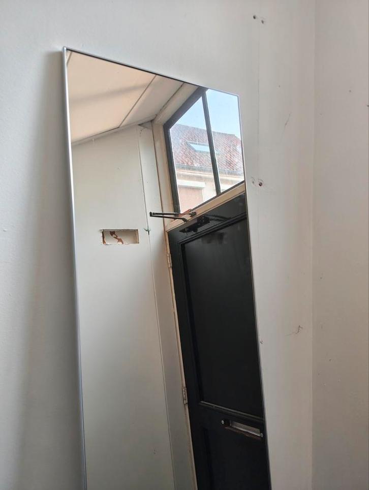 Spiegeldeur, Huis en Inrichting, Woonaccessoires | Spiegels, Nieuw, Minder dan 50 cm, 200 cm of meer, Rechthoekig, Ophalen