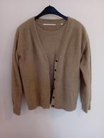 Twinset, Beige, Maat 38/40 (M), Ophalen of Verzenden, Zo goed als nieuw