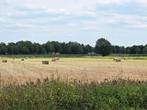 Gezocht met spoed! Help a u b !, Huizen en Kamers