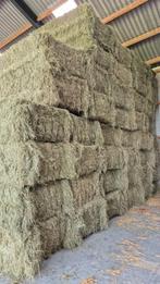 Hooi, stro, weidehooi, tarwestro, lucerne, kuilgras, kuilvoe, Ophalen of Verzenden