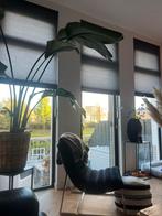 Luxaflex plissé duettes., Huis en Inrichting, Stoffering | Gordijnen en Lamellen, Ophalen of Verzenden, Gebruikt