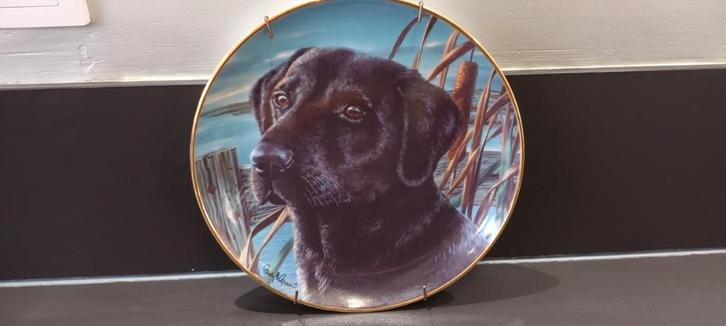 Labrador, bordje van Franklin Mint, Limited edition, Verzamelen, Dierenverzamelingen, Gebruikt, Beeldje of Figuurtje, Hond of Kat