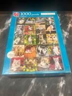 Jumbo puzzel 1000 stukje Gezellige Katteboel Keith Kimberlin, Hobby en Vrije tijd, Denksport en Puzzels, Ophalen of Verzenden