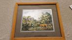oud schilderij prent ? indonesie, Antiek en Kunst, Curiosa en Brocante, Ophalen of Verzenden