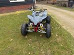 Yamaha YFZ 450 Big Bore 2007 - Quad, Motoren, 1 cilinder