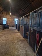Te huur 2 paardenboxen, Dieren en Toebehoren, Stalling
