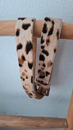 Riem leer dames koeienprint, Kleding | Dames, Riemen en Ceinturen, Ophalen of Verzenden, Zo goed als nieuw, Bruin