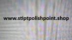Domeinnaam www.stiptpolishpoint.shop STIPT