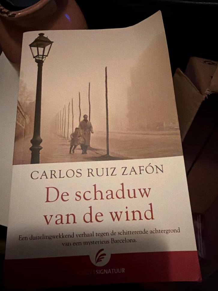 D2.  Carlos Ruiz Zafón - De schaduw van de wind, Boeken, Literatuur, Zo goed als nieuw, Ophalen of Verzenden