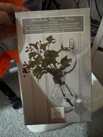 Nieuwe Cordoba Flower Vaas Rivièra Maison in doos, Overige kleuren, Nieuw, Ophalen of Verzenden, Glas