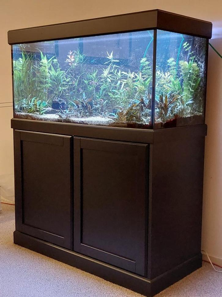 Compleet aquarium met zwarte kast en toebehoren, Dieren en Toebehoren, Vissen | Aquaria en Toebehoren, Gebruikt, Gevuld zoetwateraquarium