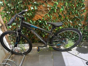 Rockrider opknapper beschikbaar voor biedingen