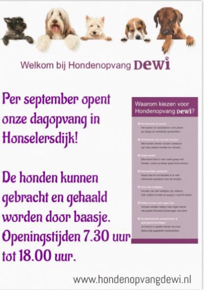 Hondenopvang DeWi opent nieuwe dagopvang vlakbij Den Haag!, Diensten en Vakmensen, Dieren | Honden | Verzorging, Oppas en Les