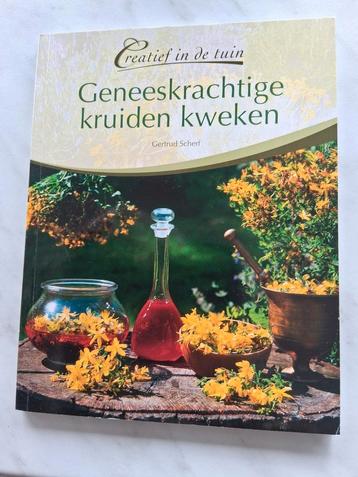 Geneeskrachtige kruiden kweken door Gertrud Scherf beschikbaar voor biedingen