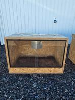 Terrarium 60x40x40, Ophalen, Zo goed als nieuw, Terrarium of Paludarium