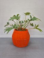 XXL oranje rotan mand. Vintage ronde rieten opbergmand etc., Huis en Inrichting, Ophalen of Verzenden, ., ., .