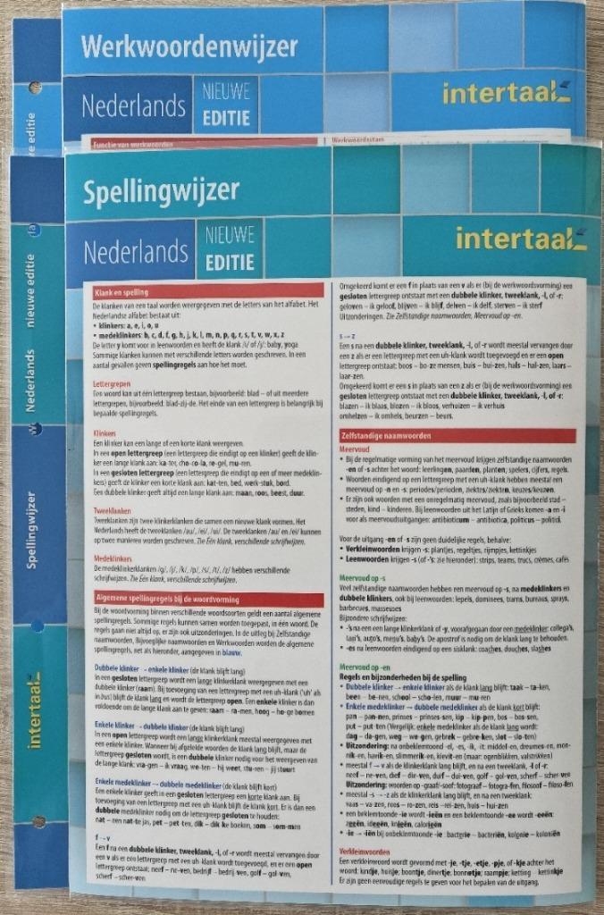 2x Taalbladen Intertaal: 2x NEDERLANDS: Spelling Werkwoorden, Diversen, Schoolbenodigdheden, Nieuw, Ophalen of Verzenden