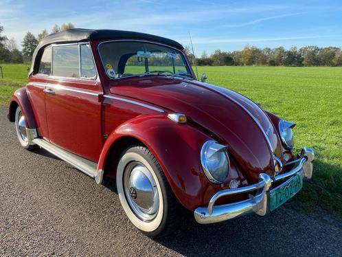 Kever cabrio s (6 stuks) te koop bij kevermobiel, Auto's, Oldtimers, Bedrijf, Te koop, Volkswagen, Benzine, Cabriolet, Handgeschakeld