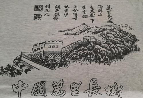 Nieuw authentiek Chinees T-shirt vd Chinese Muur + karakters, Kleding | Dames, T-shirts, Nieuw, Grijs, Korte mouw, Ophalen of Verzenden