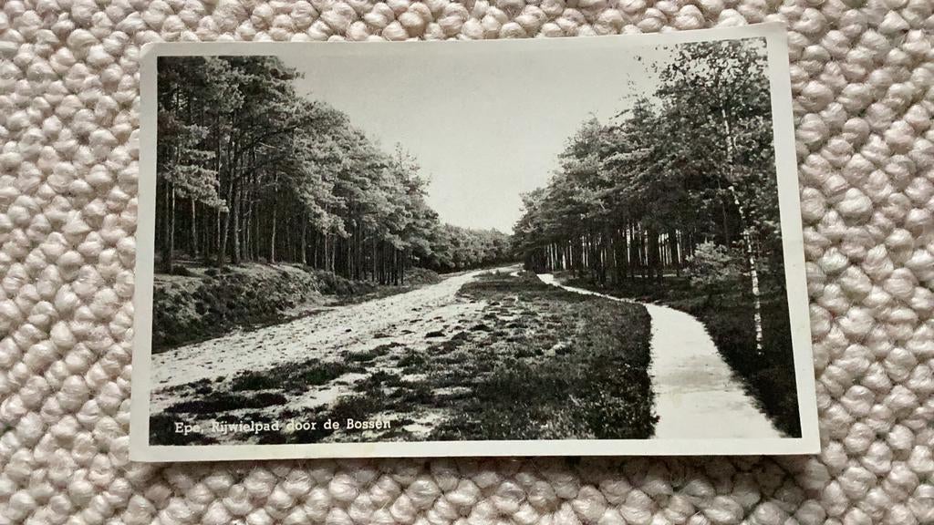 Ansichtkaart Epe Rijwielpad door de Bossen jaren ‘40. 963, Verzamelen, Ophalen of Verzenden, 1940 tot 1960, Gelopen, Gelderland