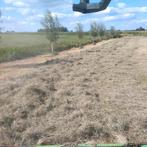 Midibalen hooi, Ophalen, Vee