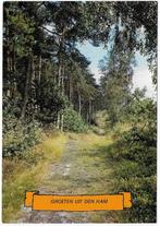 Den Ham Ongelopen Ansichtkaart ( B6017), Ophalen of Verzenden, Ongelopen