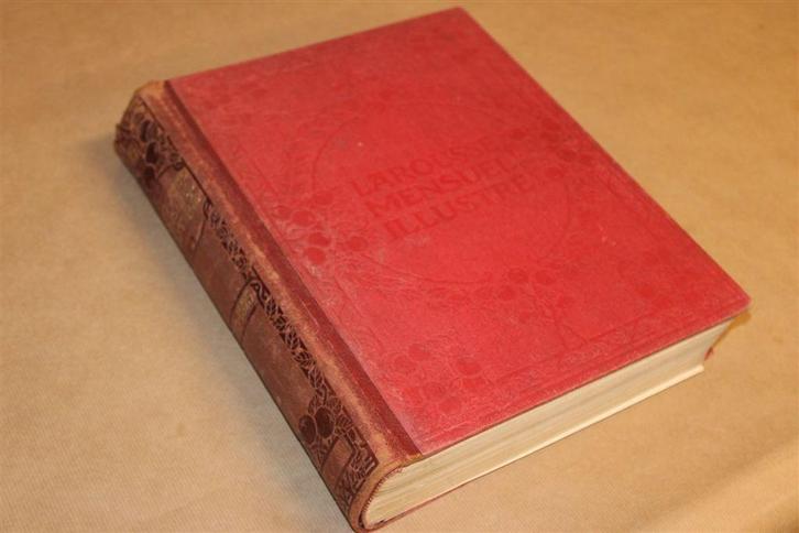 Larousse Encyclopedie [1923-1925] — Met 2520 Gravures, Antiek en Kunst, Antiek | Boeken en Bijbels, Ophalen of Verzenden