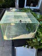 Aquarium met sump - kweekbak, Ophalen, Gebruikt, Leeg aquarium