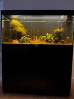 Aqualantis Volga 180 L incl. meubel, Dieren en Toebehoren, Vissen | Aquaria en Toebehoren, Ophalen of Verzenden, Zo goed als nieuw