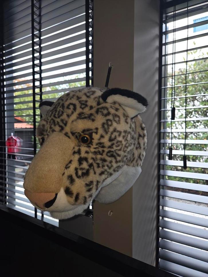 Dierenkoppen voor de kinderkamer, Huis en Inrichting, Woonaccessoires | Wanddecoraties, Zo goed als nieuw, Ophalen of Verzenden